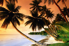 Micronesia (FSM)