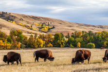 North Dakota