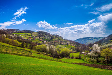 Zlatibor