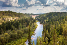 Pinezhsky Reserve