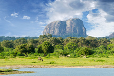 Yala National Park