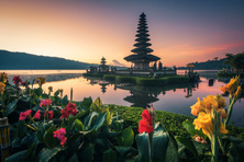 Бали